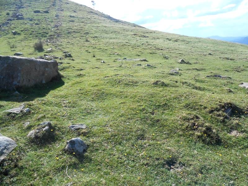 Otanarteko  lepoa harrespila