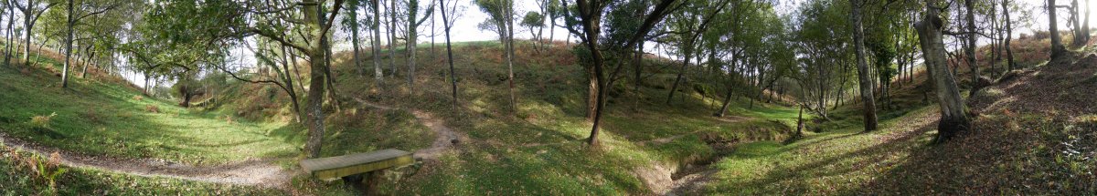 Talaia bidea Mitxitxola inguruan