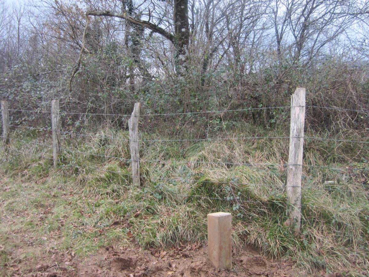 Dólmen Milaldapa   (Diciembre  2014)