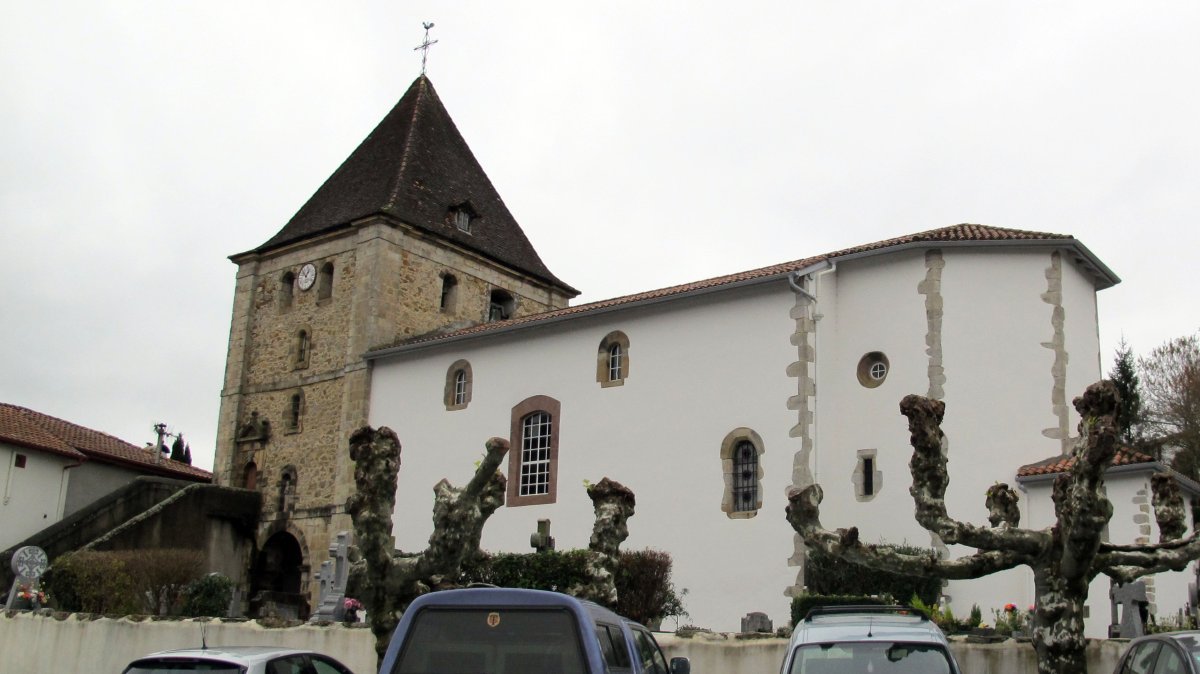 Asuncion eliza, Luhuso