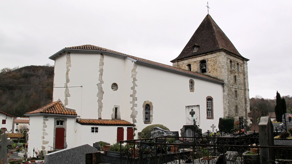 Asuncion eliza, Luhuso