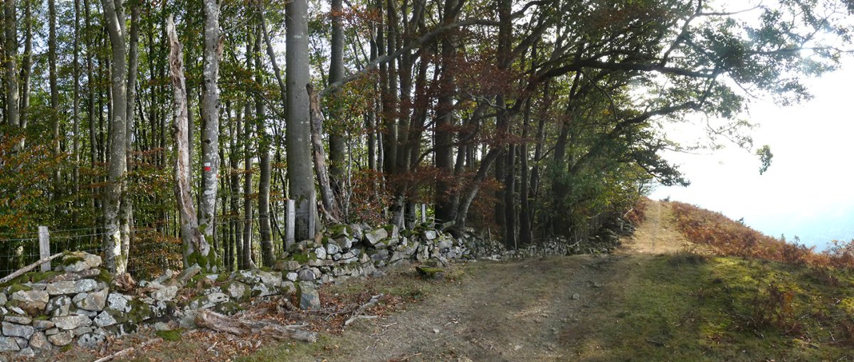 Irubagoetako gailurra