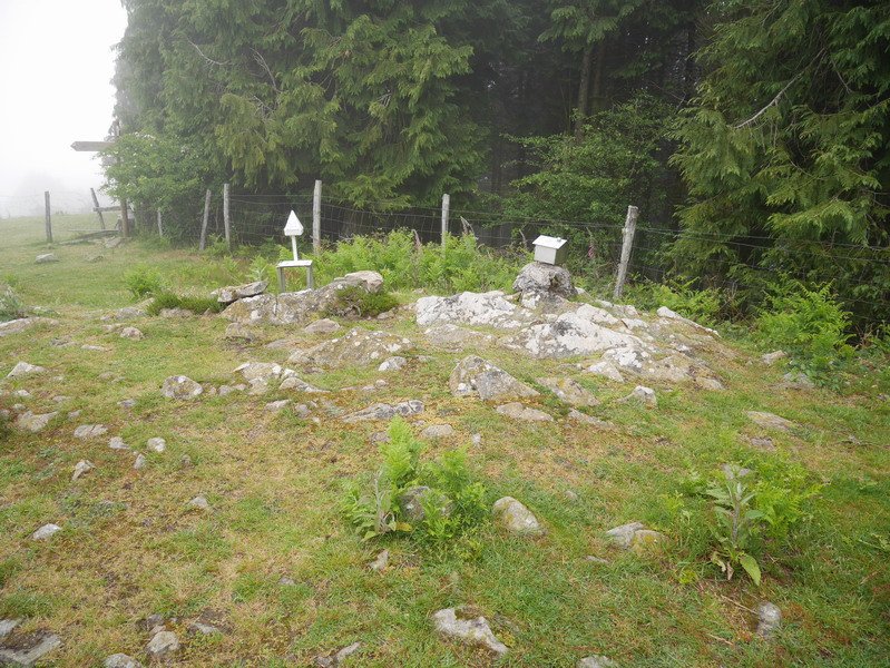 Motxotegiko tontorra