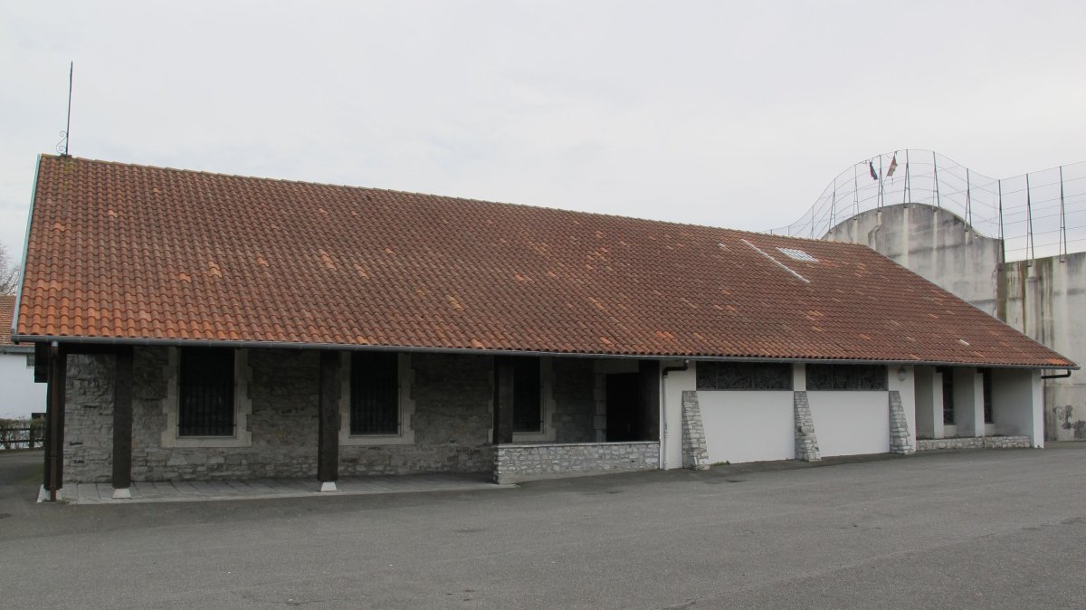 Trinidad eliza, Angelu