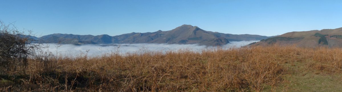 Larrugaingo gailurra