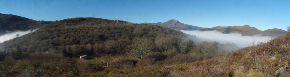 Larrugaingo bizkarra, Mokorrotik