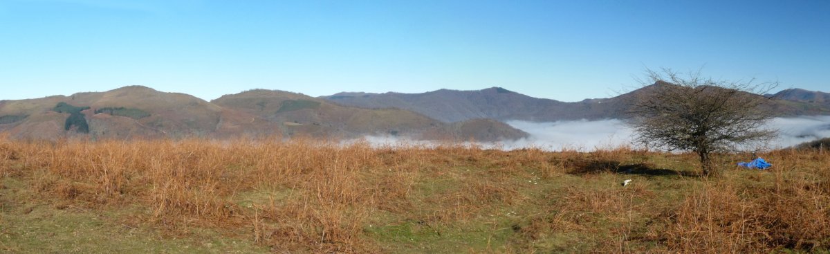 Larrugaingo gailurra