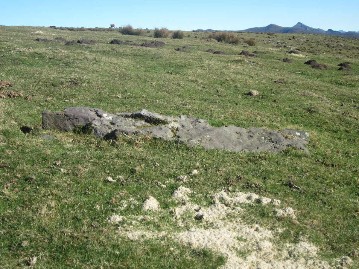 Menhir Mendibil 2 Ipar (Enero 2015)