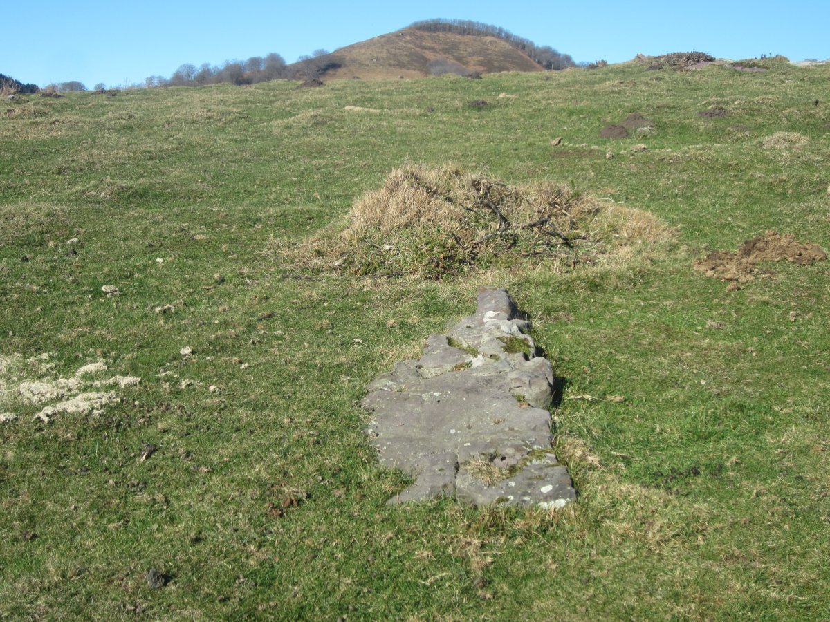 Menhir Mendibil 2 Ipar    (Enero 2015)