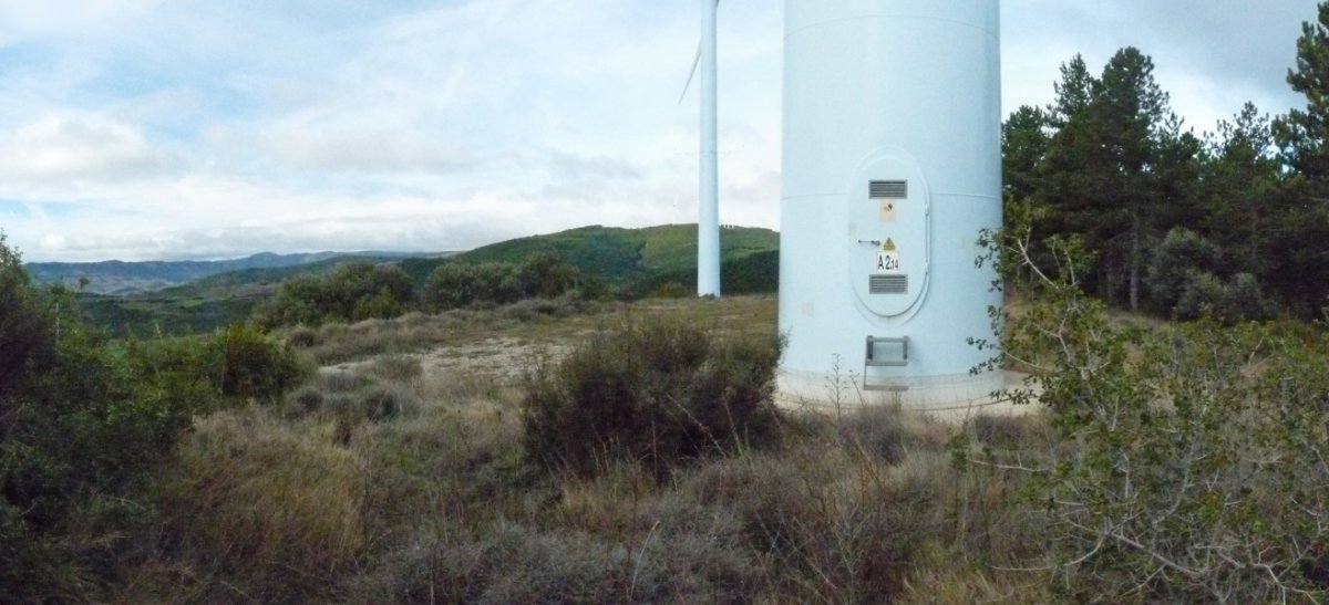 Garnatx gaineko gailurra, haizerrotek hartua