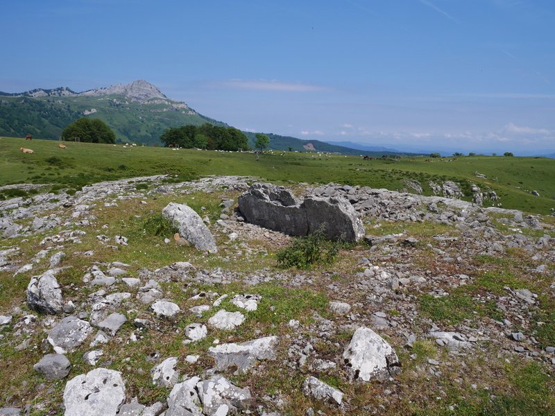 Errekatxuetako atxa trikuharria