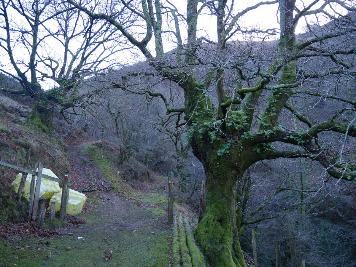 GR11 bidea Endara urtegiaren inguruetan