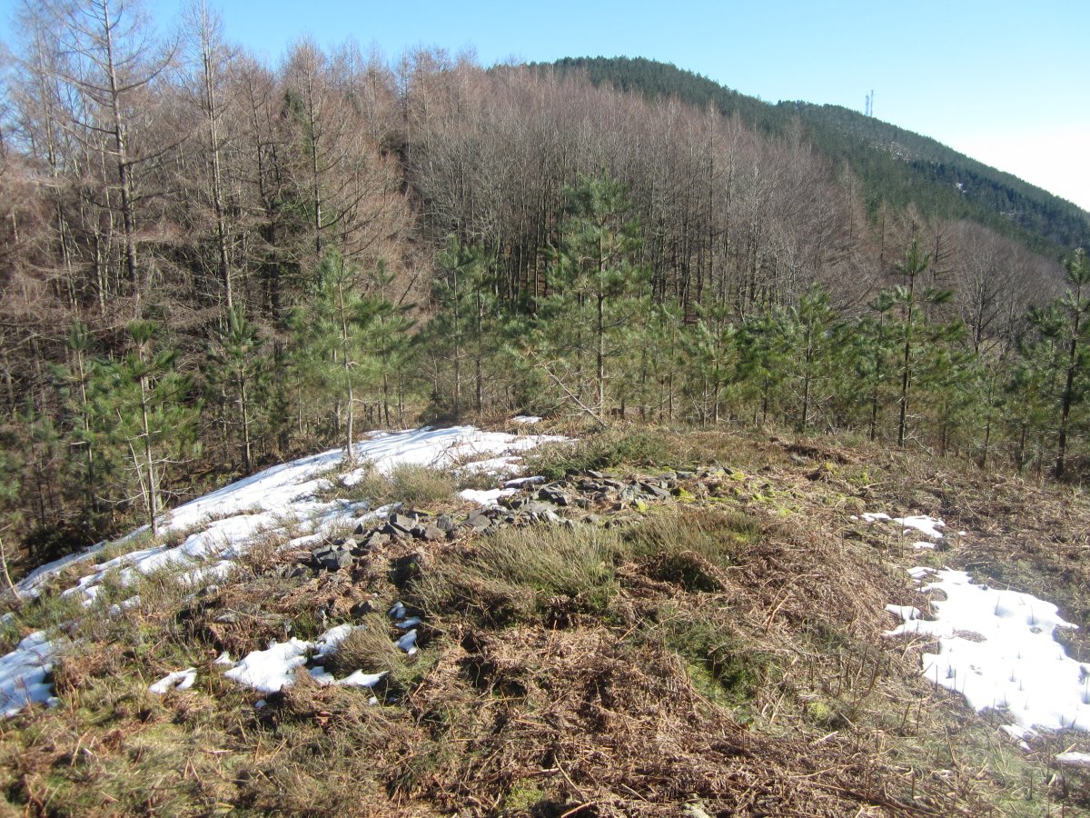 Túmulo Moa   (Febrero  2015)