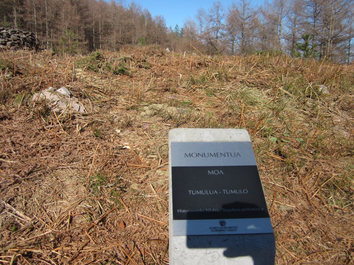 Túmulo Moa   (Febrero  2015)