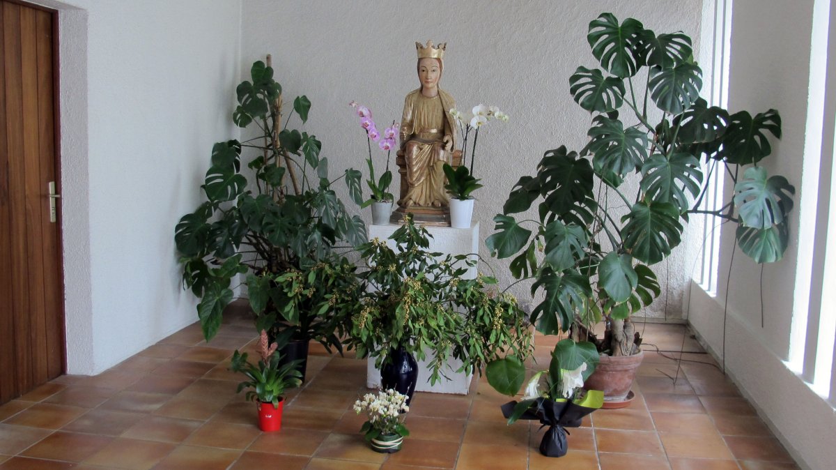 Belloc monastegia, Ahurti