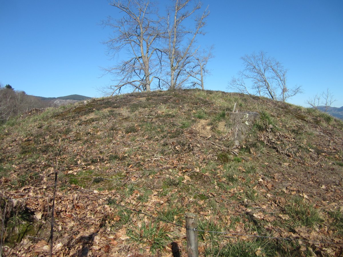 Túmulo Txoritegi (Marzo 2015)