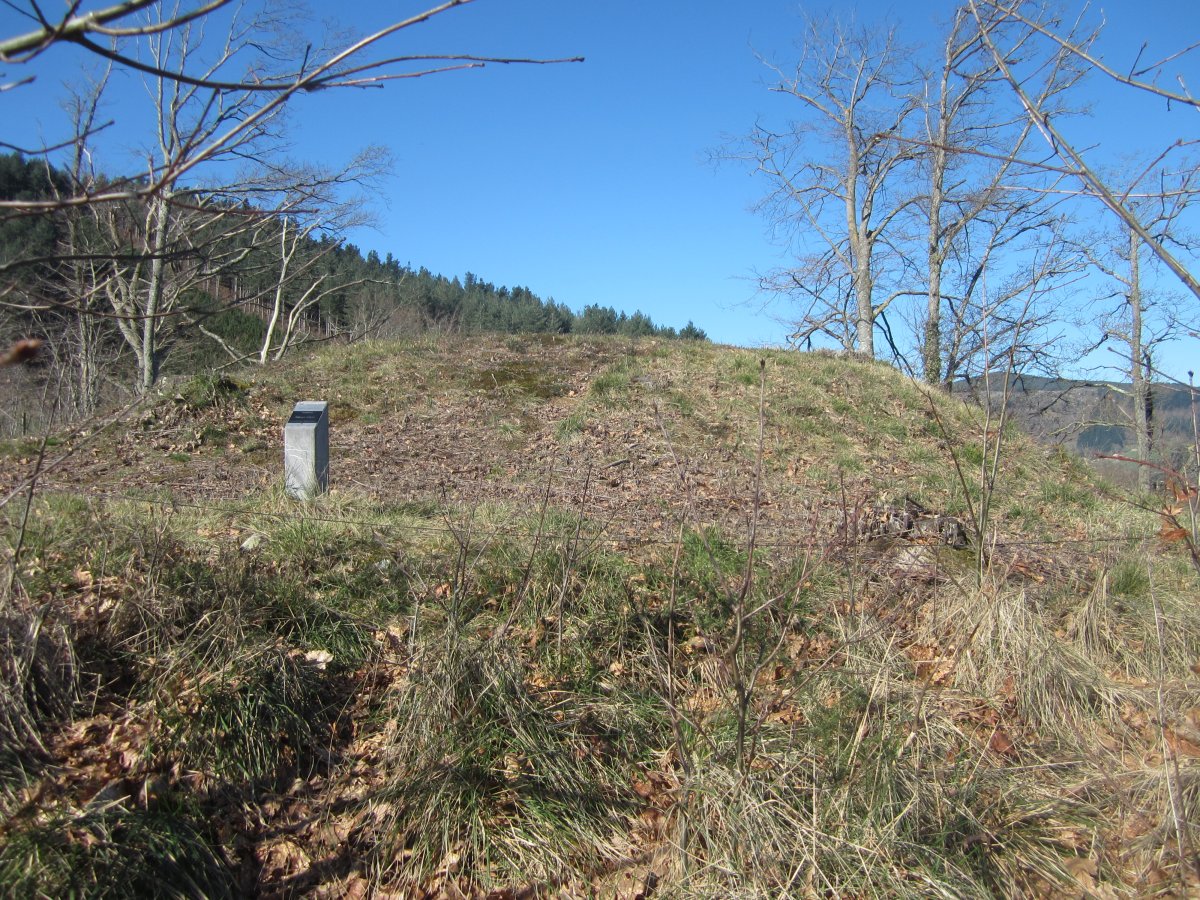 Túmulo Txoritegi   (Marzo 2015)