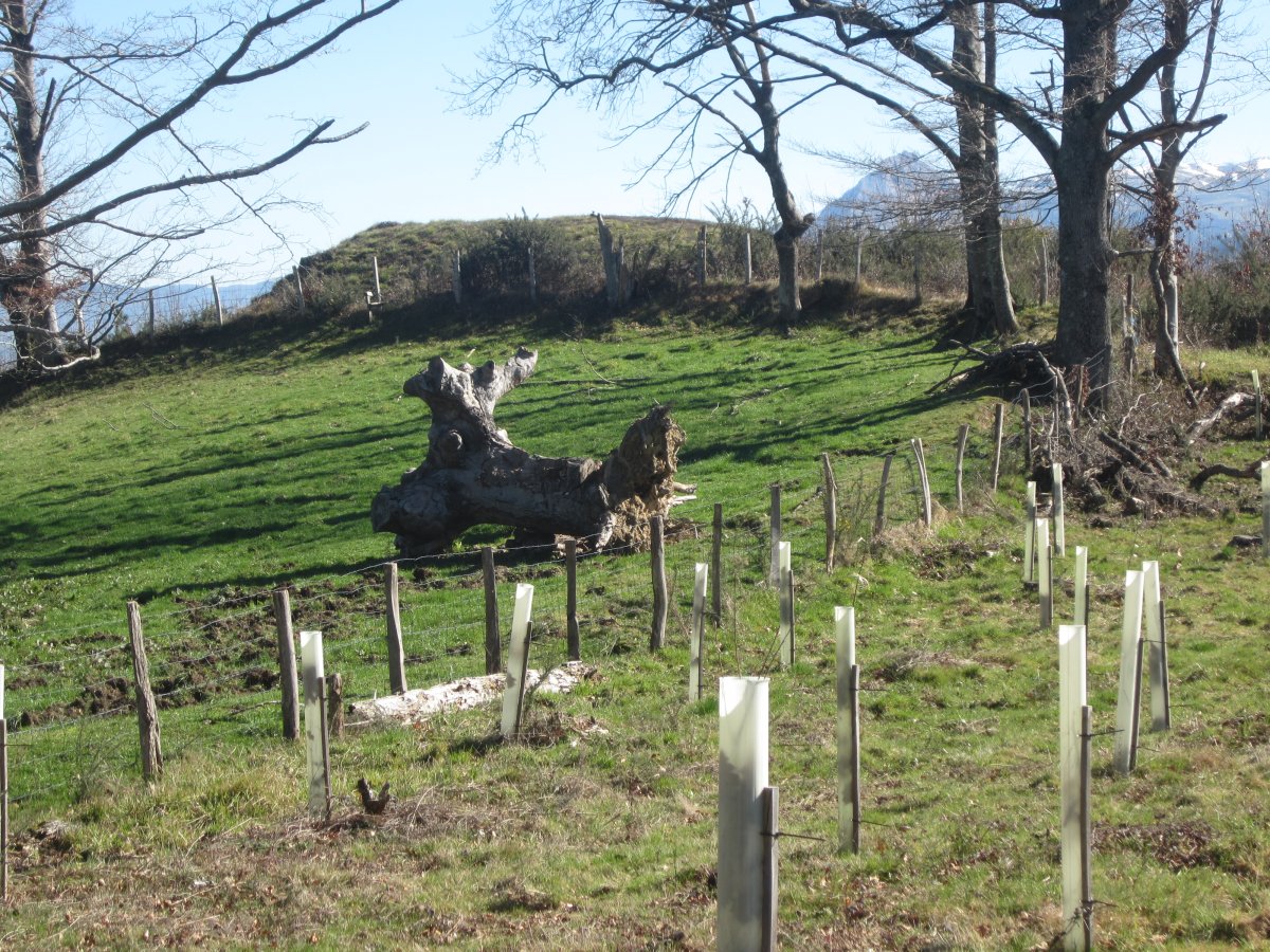 Túmulo Txoritegi (Marzo 2015)