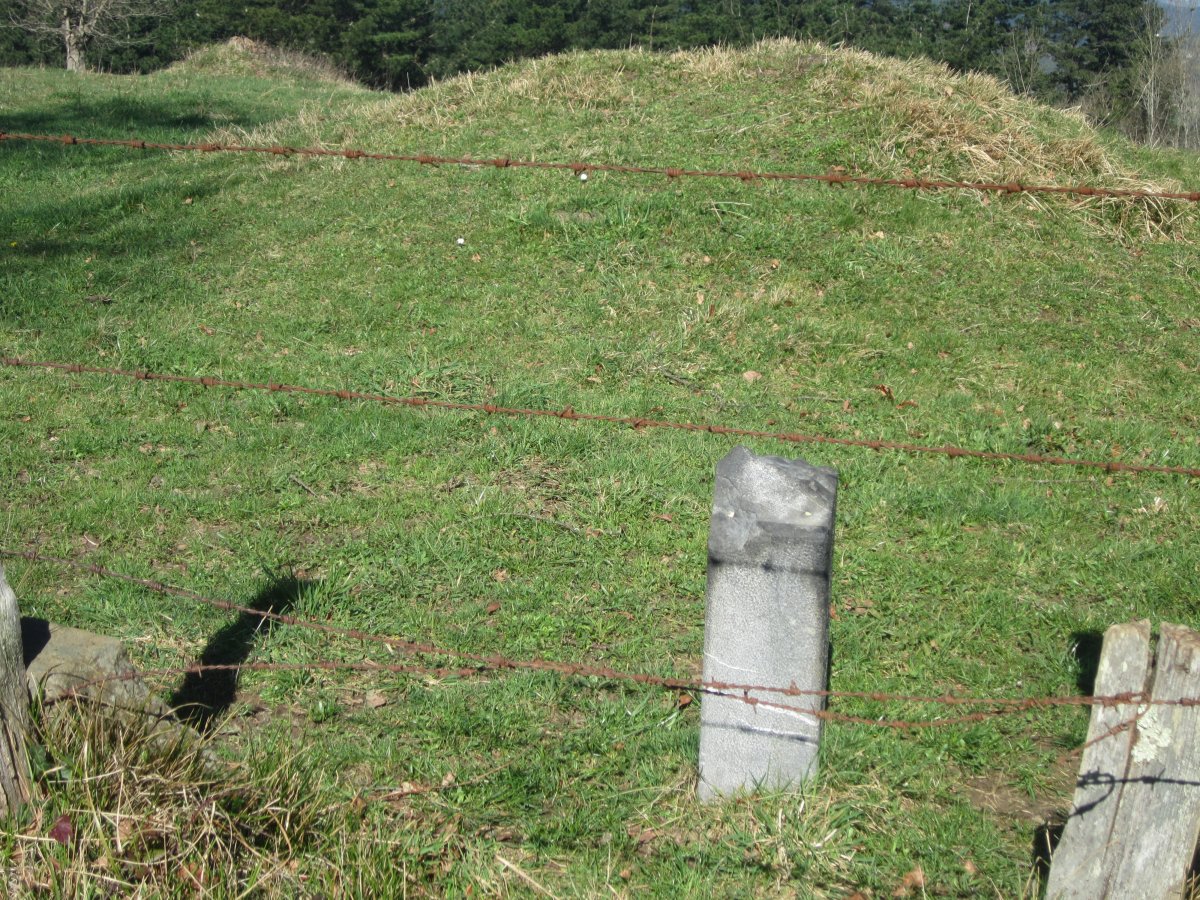 Túmulo Antolarre  (Marzo 2015)