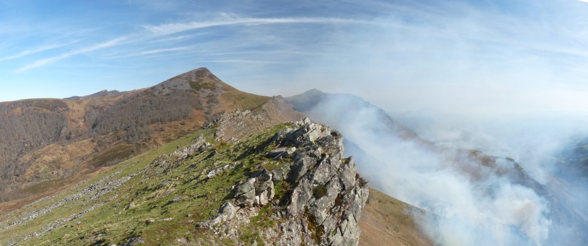 Larremearko gailurra