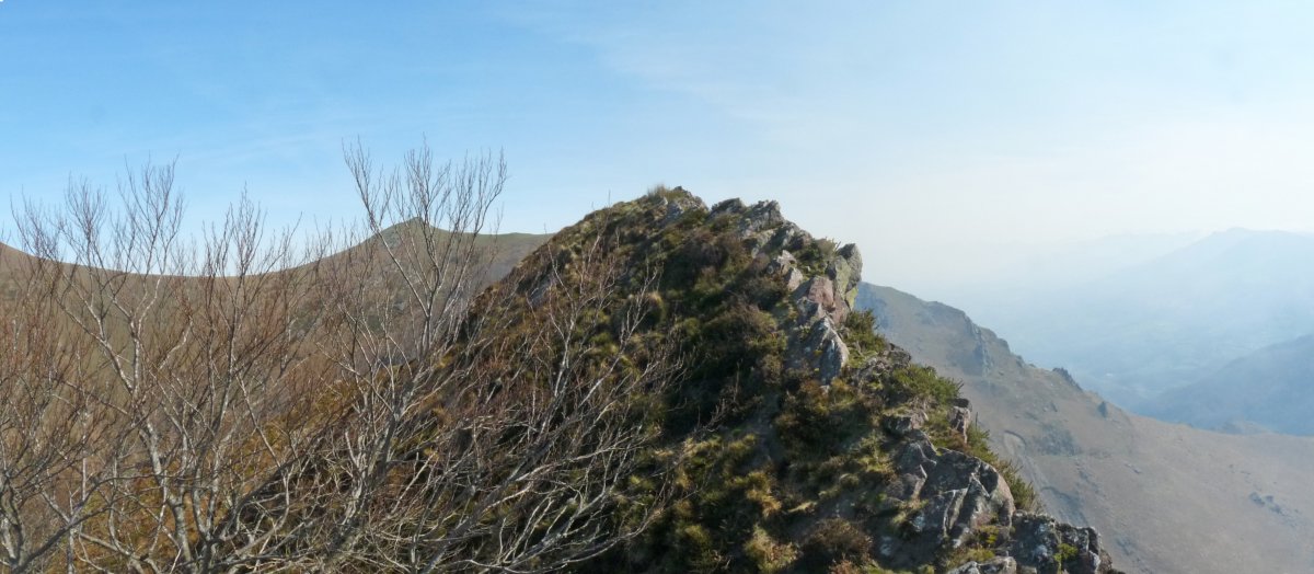 Ttutturruko kaskoko gailurra