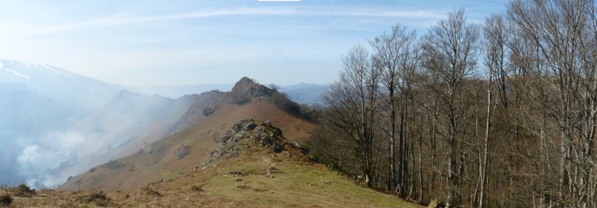 Untxideko gandorra Aintziaga lepotik