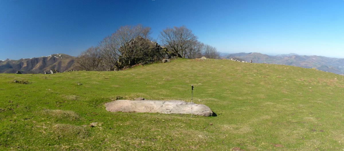 Larrebeltzeko zutarria