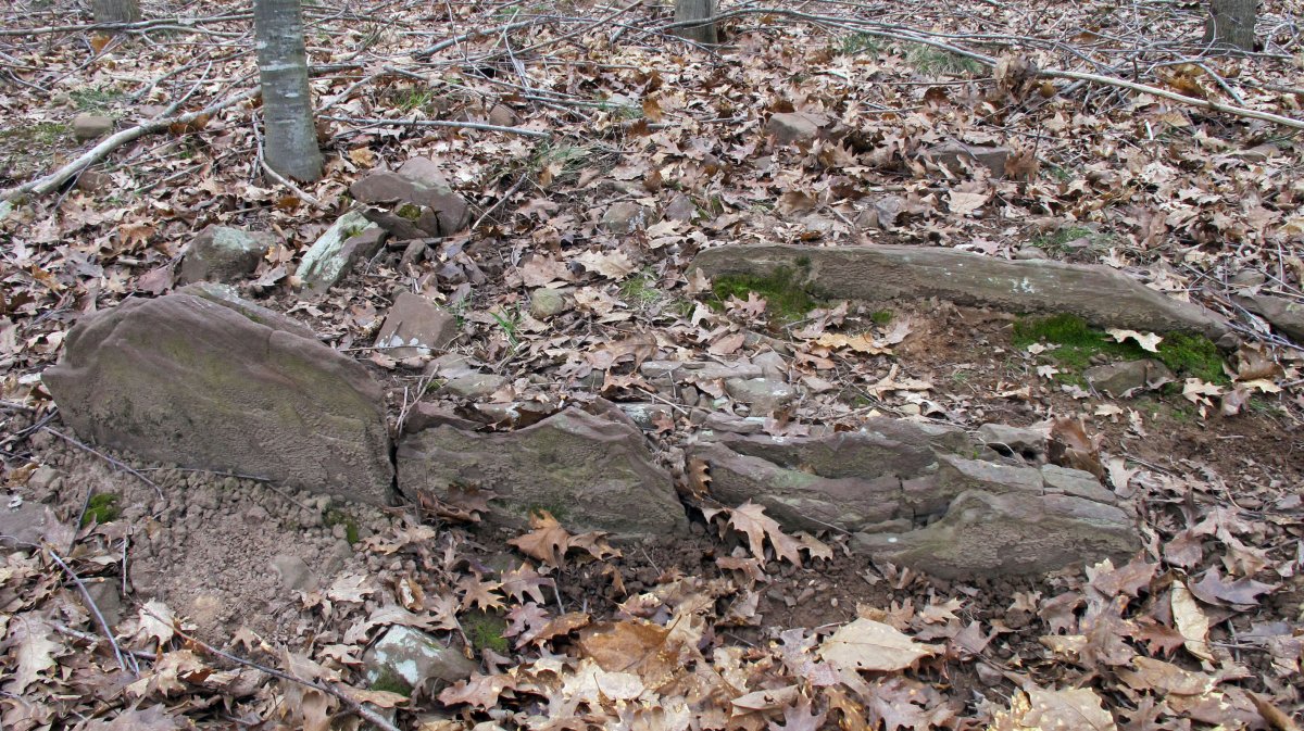 Askin II trikuharria, Doneztebe