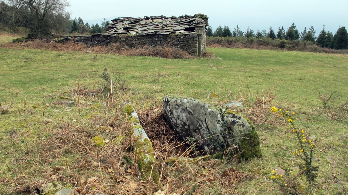 Zumaleku trikuharria, Elgorriaga