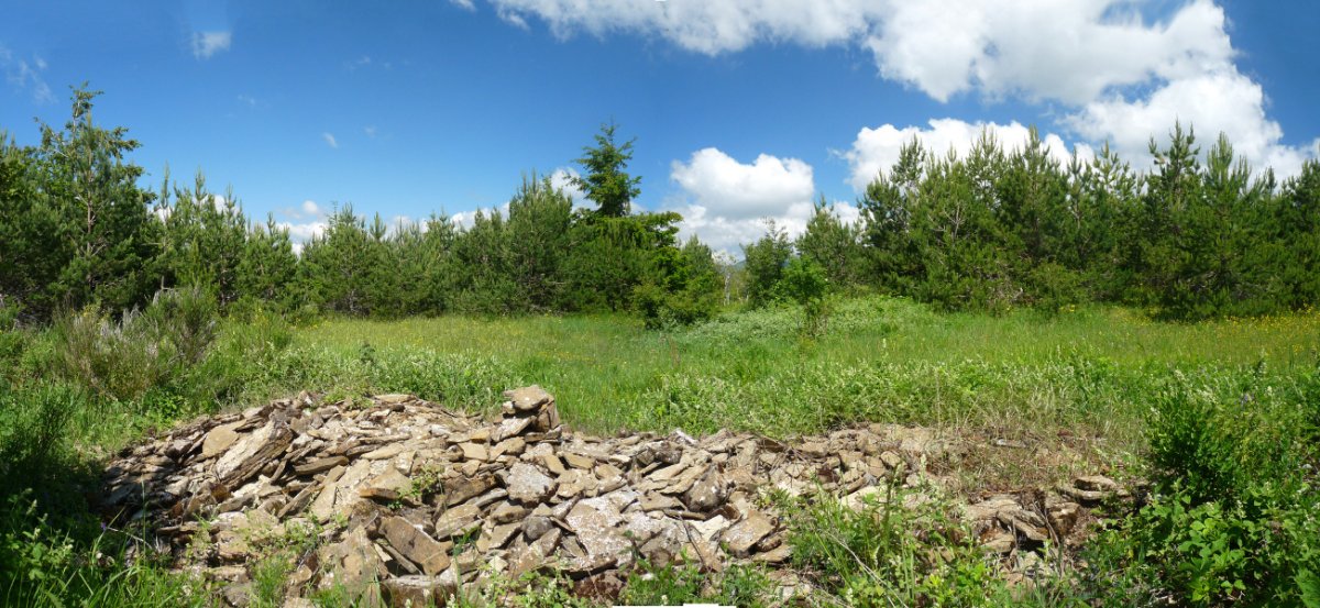 Zamainguruko gailurra