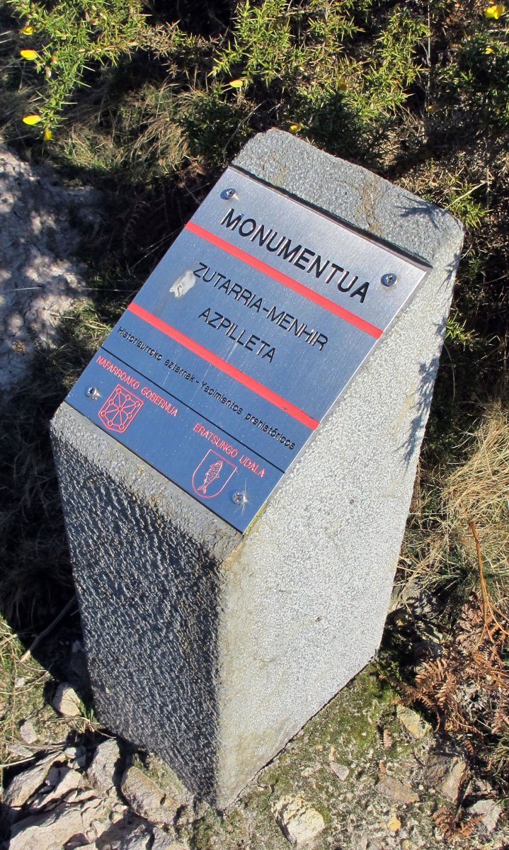 Azpilleta zutarria, Eratsun