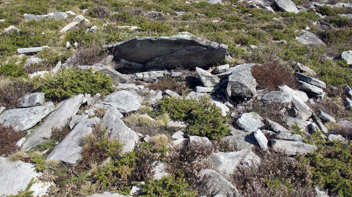 Latargi 5 trikuharria, Eratsun