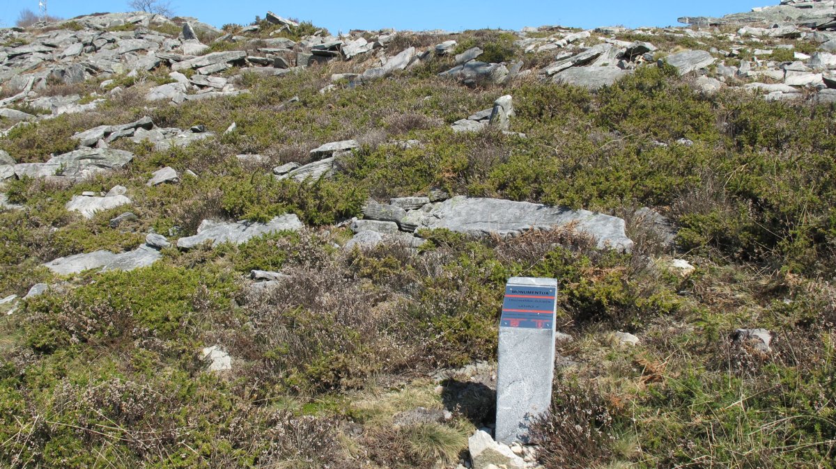 Latargi 8 trikuharria