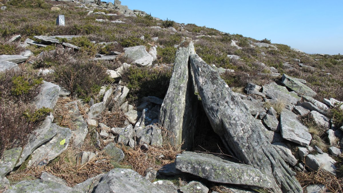 Latargi 15 trikuharria, Eratsun