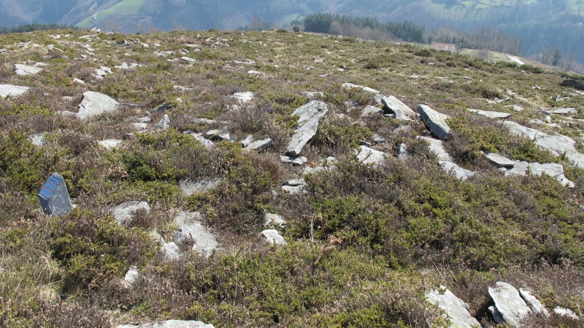 Latargi 14 trikuharria, Eratsun