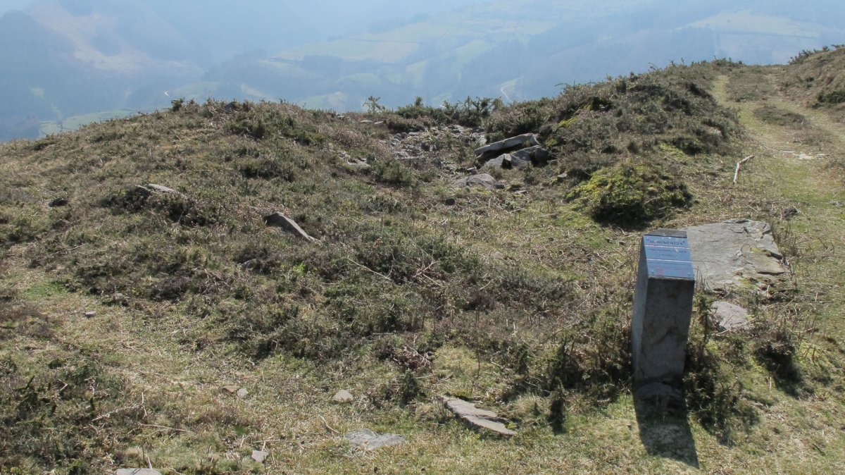 Latargi 3 trikuharria, Eratsun