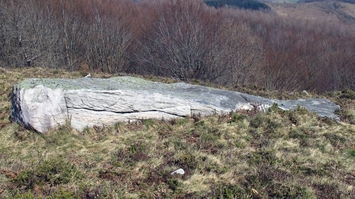 Latargi zutarria, Eratsun