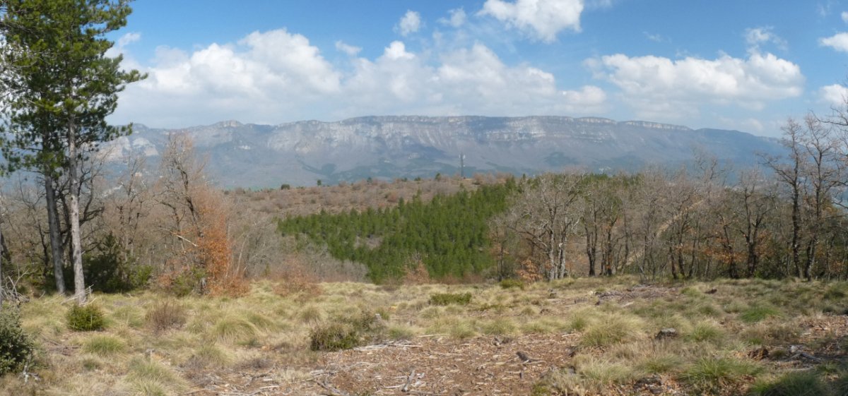 Ripas gaina Farrandillotik