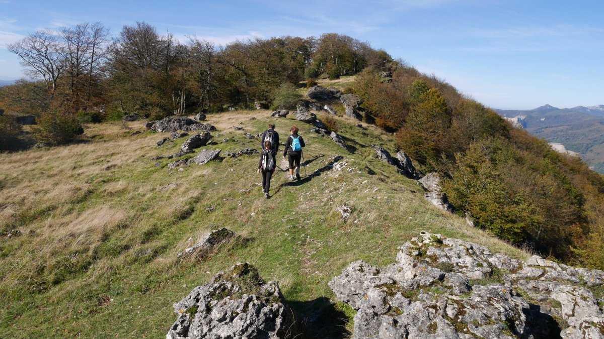 Urdiain aldeko ertzeko bidea