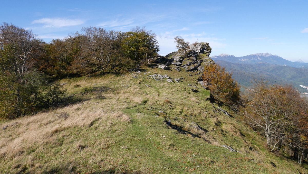 Urdiain aldeko ertzeko bidea