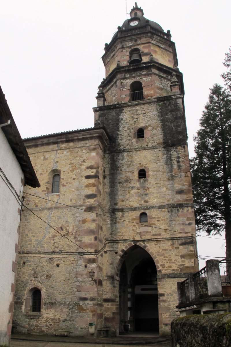 Salbatore eliza, Irurita