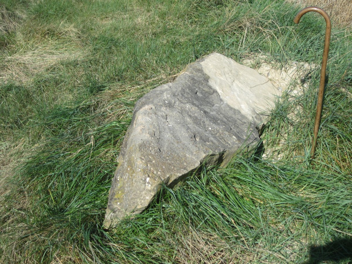 Menhir Biorrada (Marzo 2015)