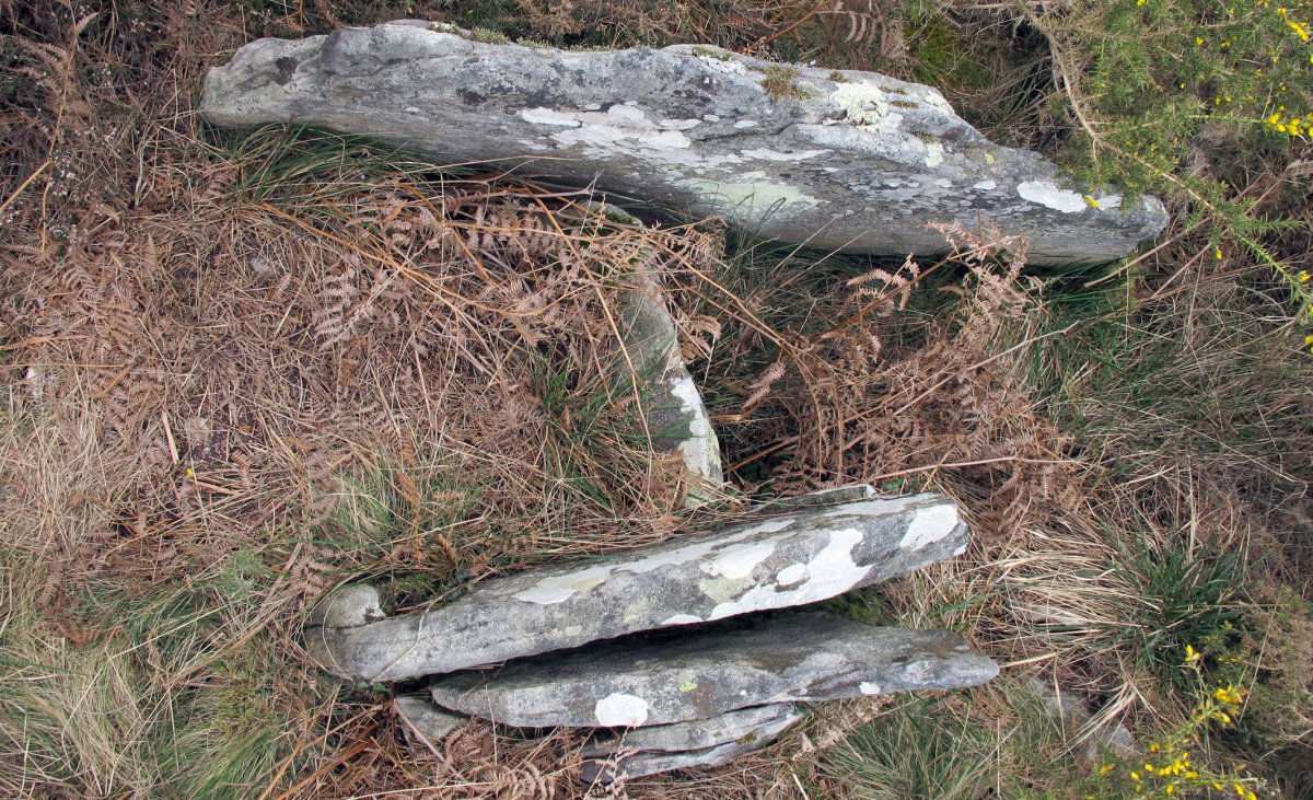 Oiantzar trikuharria, Sunbilla