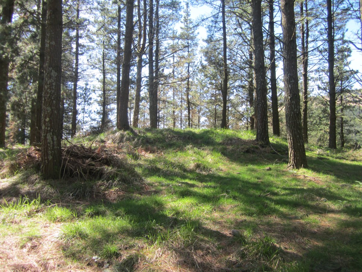 Túmulo Kanpaizulo  (Abril  2015)