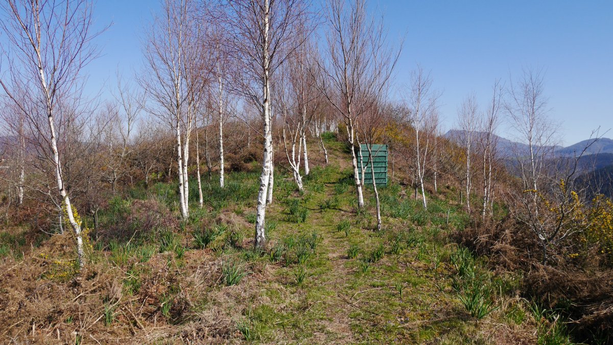 Arranagaita tumuluaren inguruko bidea