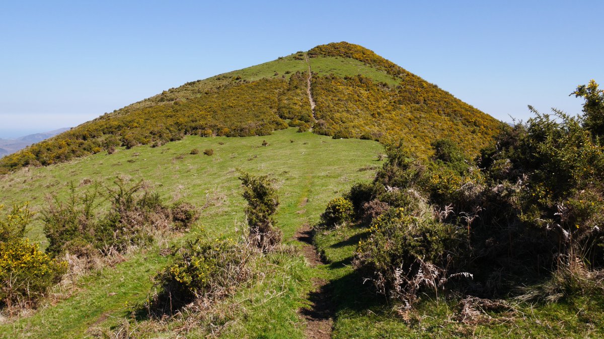 Oianberri Hegoaldeko lepotik