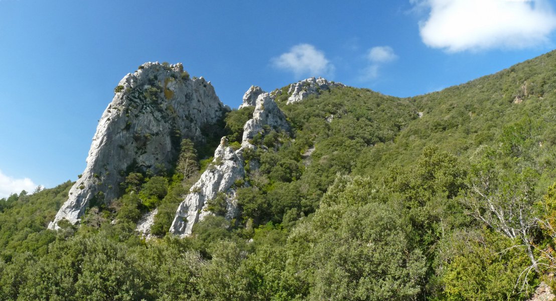 Chandriko malkarrak, Siguesko bidetik