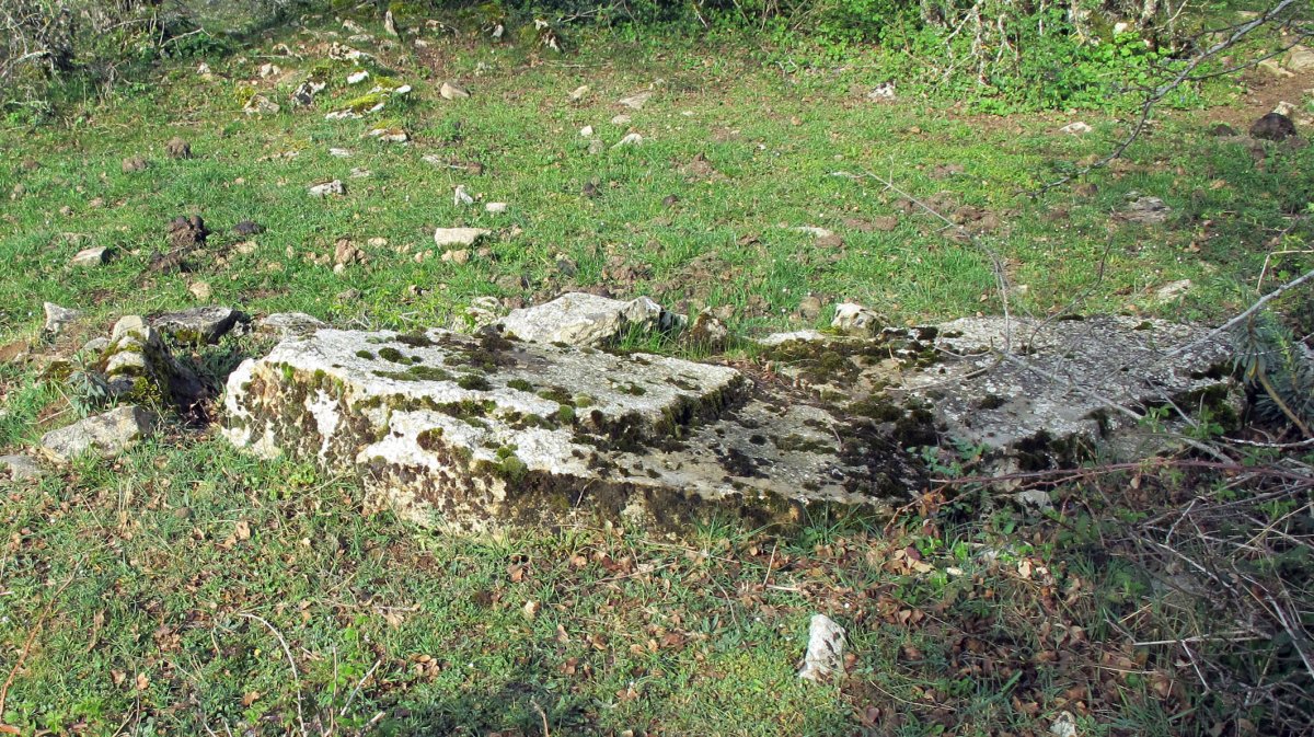 Gatzarrieta zutarria, Goñi