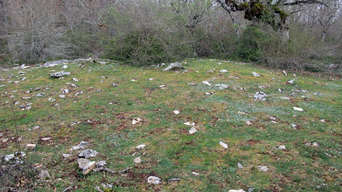 Martinleze 1 trikuharria, Goñi