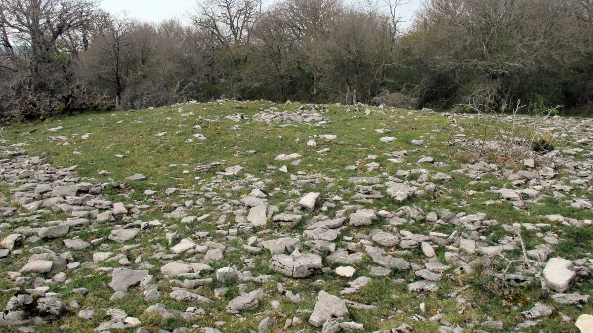 Kapanasta tumulua, Goñi